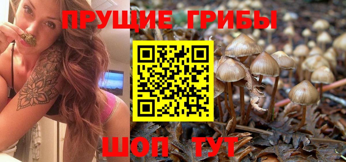 Галлюциногенные грибы Cubensis Россошь