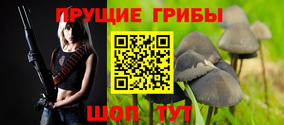 Псилоцибиновые грибы GOLDEN TEACHER  Псилоцибиновые грибы Cubensis  Россошь  Вход с VPN 